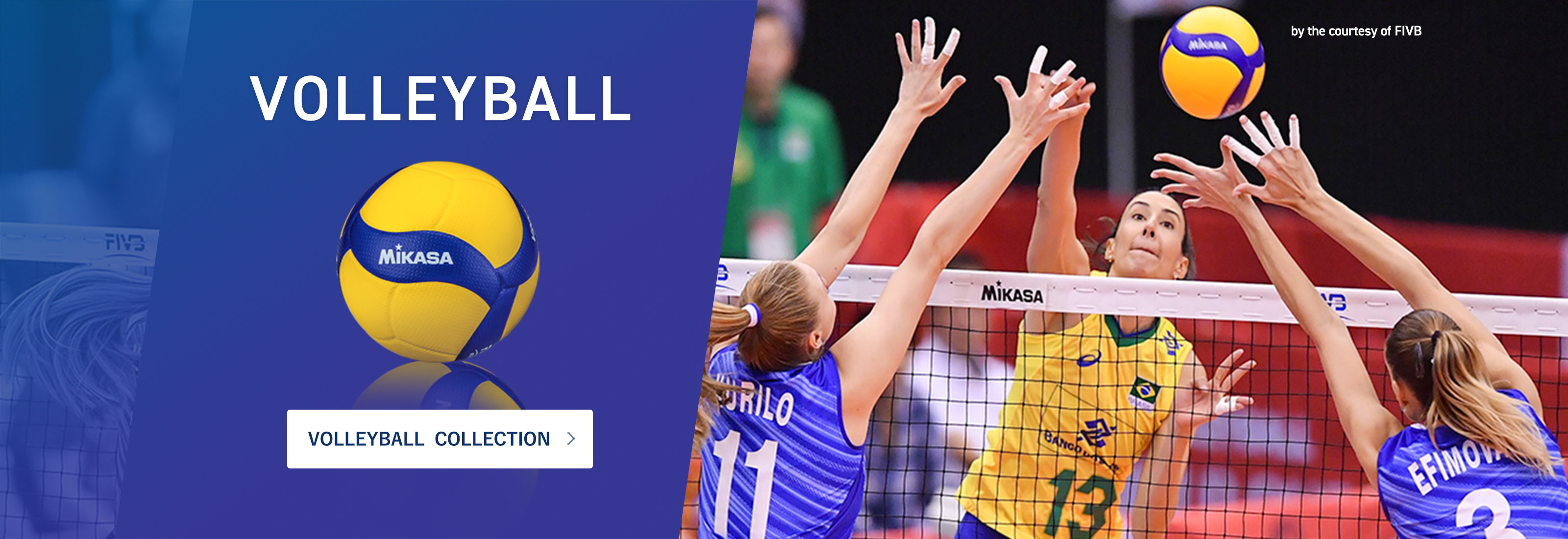 volleyball