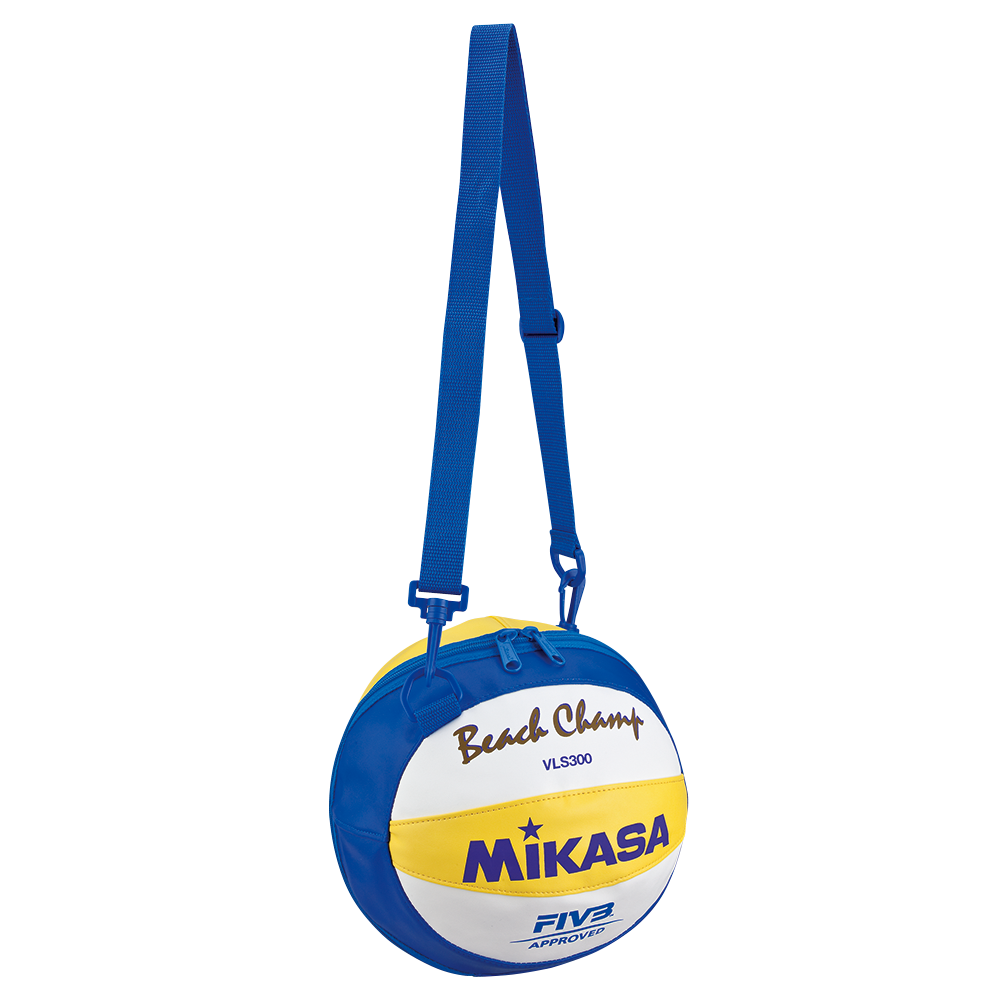 Bag of Sport Balls – Biggz