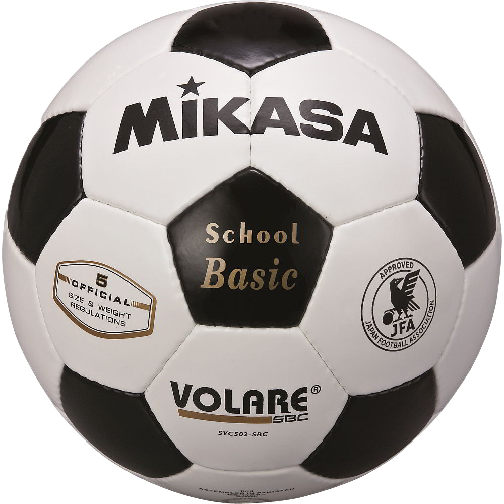 ボールメンテナンス 株式会社ミカサ Mikasa ボール スポーツ用品 コーポレートサイト